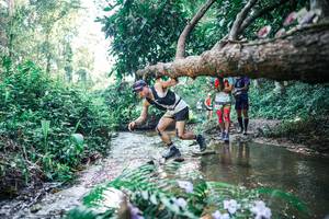 BIB: 
                            <button type="button" onclick="openModal(25446256)" class="btn btn-primary btn-sm float-right btn-popup" data-toggle="modal" data-target=".modal-high-quality">
                        <i class="fas fa-shopping-cart"></i> Add to Cart
                    </button>
                                            <button type="button" onclick="isThisMe(25446256, true)" class="btn btn-success btn-sm float-right btn-popup btn-isme hidden" data-toggle="tooltip" data-placement="bottom" title="นี่คือรูปของคุณใช่ไหม คลิกที่นี่เพื่อเอาเข้าอัลบั้ม">
                        <i class="fas fa-plus"></i> Add to album
                    </button>
                    <button type="button" onclick="isThisMe(25446256, false)" class="btn btn-warning btn-sm float-right btn-popup btn-isnotme hidden">
                        <i class="fas fa-ban"></i> Remove from album
                    </button>